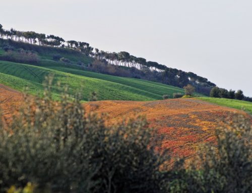 Borgo di Mutignano